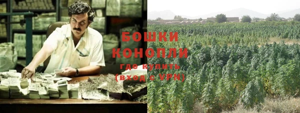 тгк Богородицк